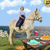 Peacock Followed The Hen