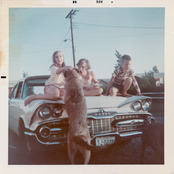 Creature Comfort: Home Team