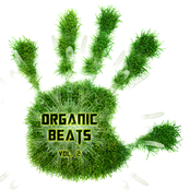 Organic Beats Vol. 2