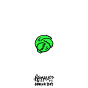 Trippy Turtle: Lettuce