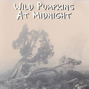 The Secret of the Sad Tree