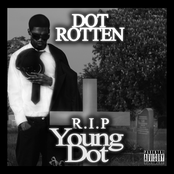 I'm A Leader by Dot Rotten