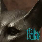 Cats of Ulthar