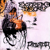 proletar / extreme decay