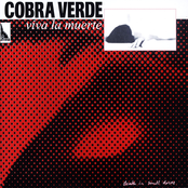 Gimme Your Heart by Cobra Verde