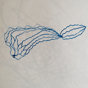 birthday cake made me do it