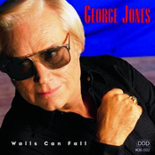 Drive Me To Drink by George Jones