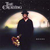 The Crossing: Daisies