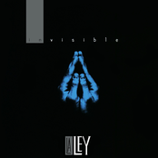 La Ley: Invisible