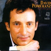 David Pomeranz: Born For You - His Best And More