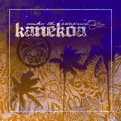 Kanekoa: Under The Coconut Sky