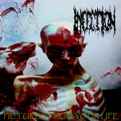 Pictures From Your Life