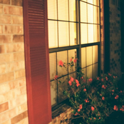 steal the warmth away