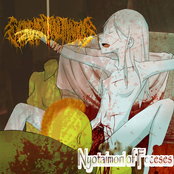 Nyotaimori Of Feceses (EP)