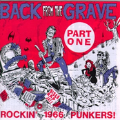 Back From The Grave Volume 1