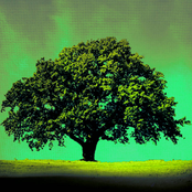 Lykkelig (Alternative Version)