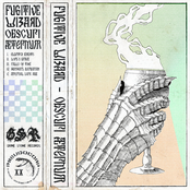 Fugitive Wizard - Obscuri Æternum