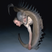 TETË | Γ Γ Κ Φ Κ ΦΦΦΦΦΦΦΦΦΦΦ