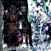 never forget youre alone in this world