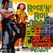 Rock'n'Roll Orgy Vol. 8