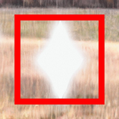 this time, maybe forever