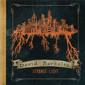 David Berkeley: Strange Light