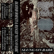 SLUNG ON BARK