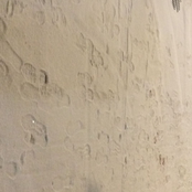 sick manic state yes i'm baby beel