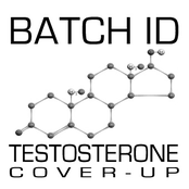 Testosterone - single