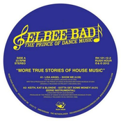 More True Stories Of House Music