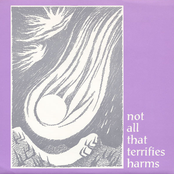 Not All That Terrifies Harms