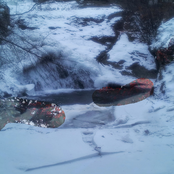 Elsewhere There Were Pumpkins and Bananas