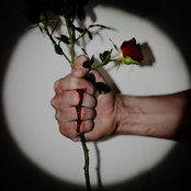 Fox N' Vead: Coulda Been Something