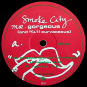 Mr. Gorgeous (and Miss Curvaceous)