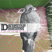 The Dangerous Summer: If You Could Only Keep Me Alive