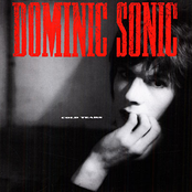 When My Tears Run Cold by Dominic Sonic