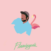 flamingosis