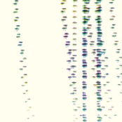 Do