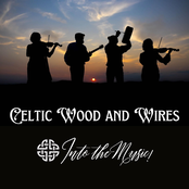 Into The Music