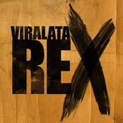 viralata rex