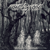 Закон Велеса