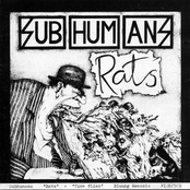 Subhumans: Time Flies But Aeroplanes Crash + Rats