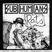 Everyday Life by Subhumans