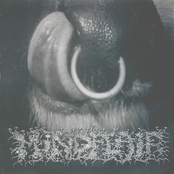 running guts / mindflair