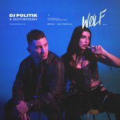 DJ Politik: Wolf