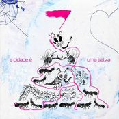 A cidade é uma selva