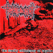 Damnation Around Us by Torture Incident