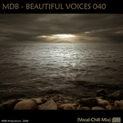 BEAUTIFUL VOICES 040 (VOCAL CHILL MIX)