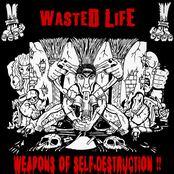Weapons Of Self Destruction