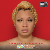 No Artificial Flavorz